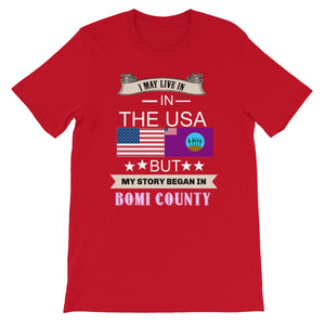 I Live In The USA But My Story Began In Bomi County T-Shirt - Zabba Designs African Clothing Store